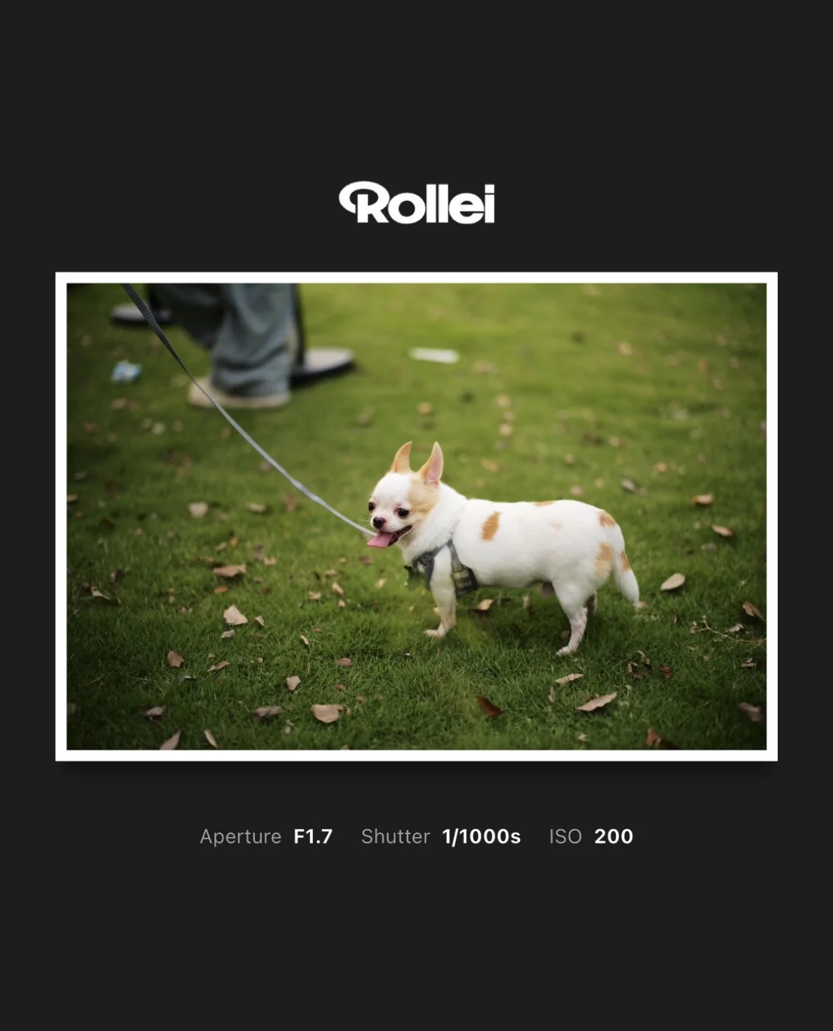 Curated picks photo border: Stamio, example 5
