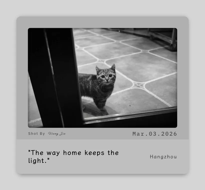 Film & instant photo border: A print to keep, example 6