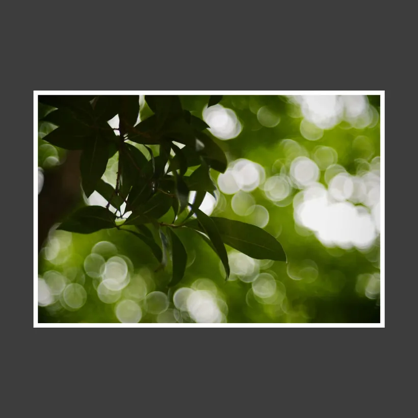 Minimal photo border: Simply framed, example 3