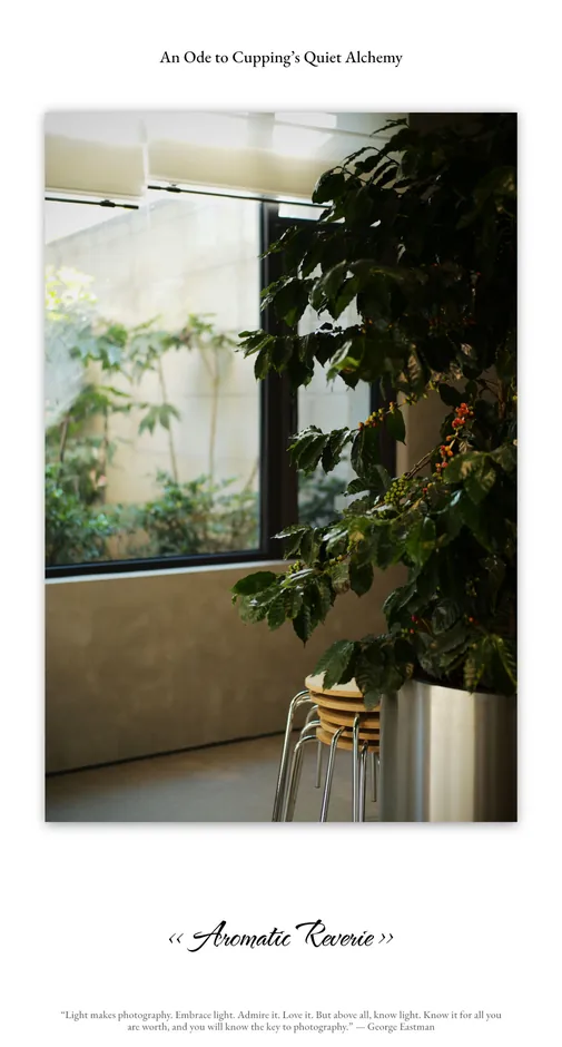 Minimal photo border: A quiet chapter, example 6