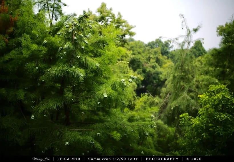 Minimal photo border: Exposure notes, example 8