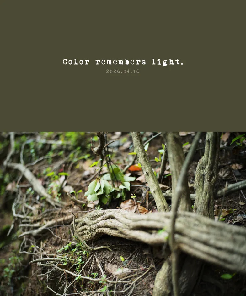 Color palettes photo border: Color & verse, example 1