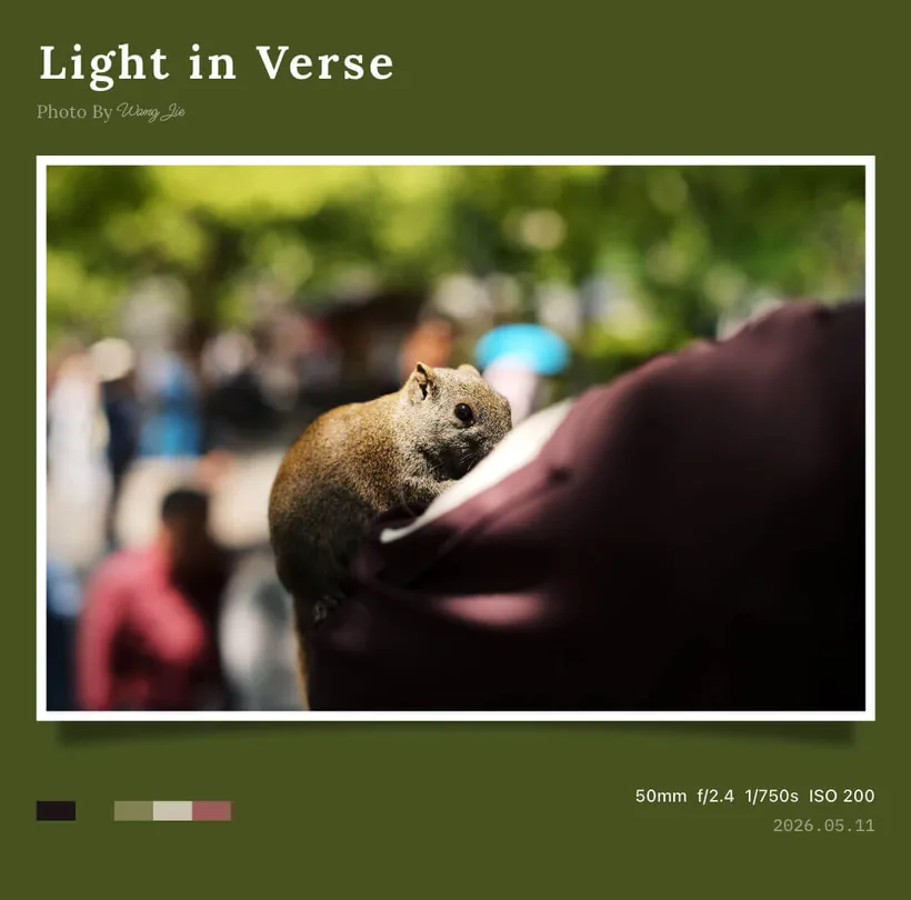 Color palettes photo border: Colors of the day, example 6