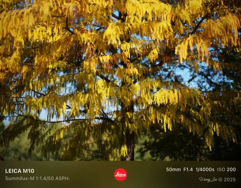 Camera details photo border: Light & detail, example 8