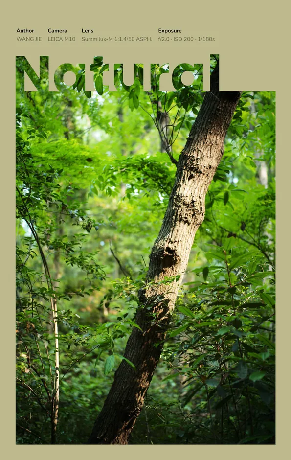 Poster & magazine photo border: A story in color, example 6