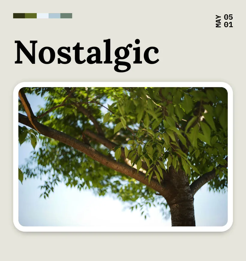 Poster & magazine photo border: Soft-spoken memories, example 8