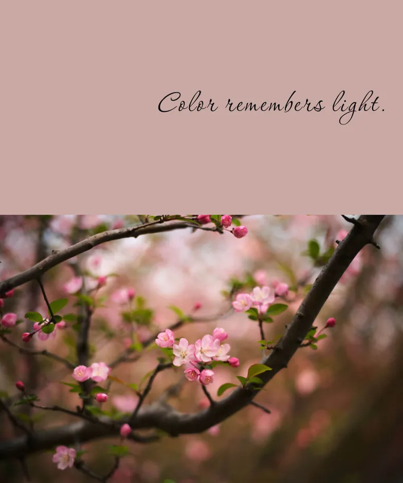 Words & quotes photo border: Color & verse, example 4