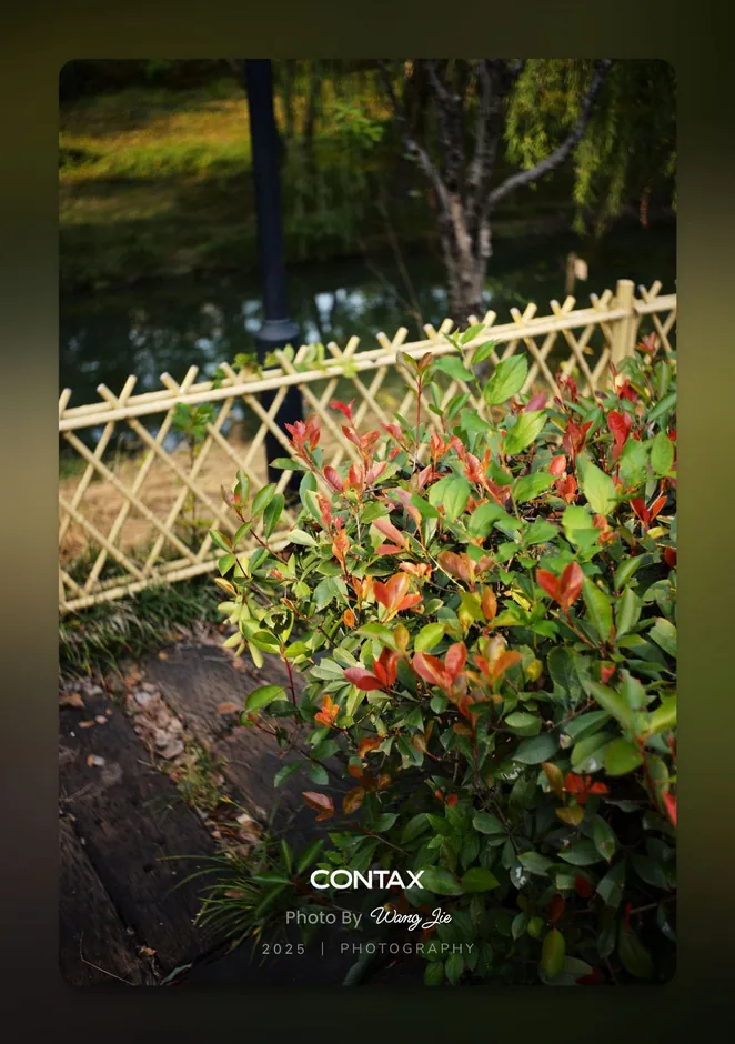 Words & quotes photo border: A moment, noted, example 6